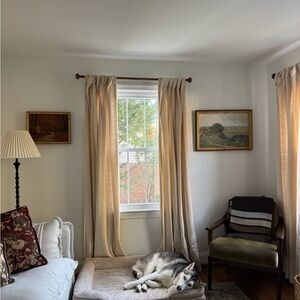 Quince Luster Velvet Curtain - Champagne - 4 panels - 84 inches